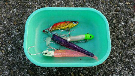 南甲子園浜。今日もタチナブラ。引き続き好調です。